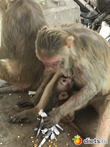 282 ����: ������ 2017. �����