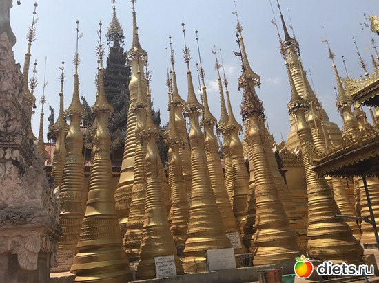 725 ����: ������ 2017. �����