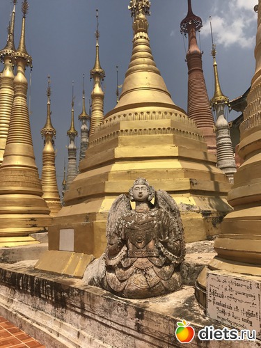 726 ����: ������ 2017. �����