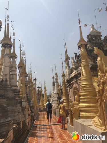 728 ����: ������ 2017. �����