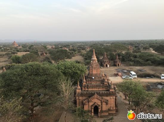 156 ����: ������ 2017. �����