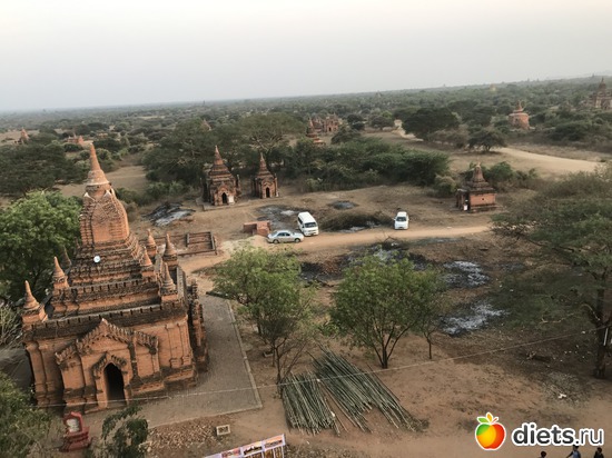 157 ����: ������ 2017. �����