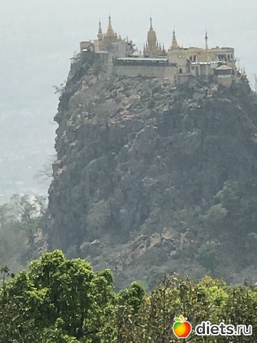 291 ����: ������ 2017. �����