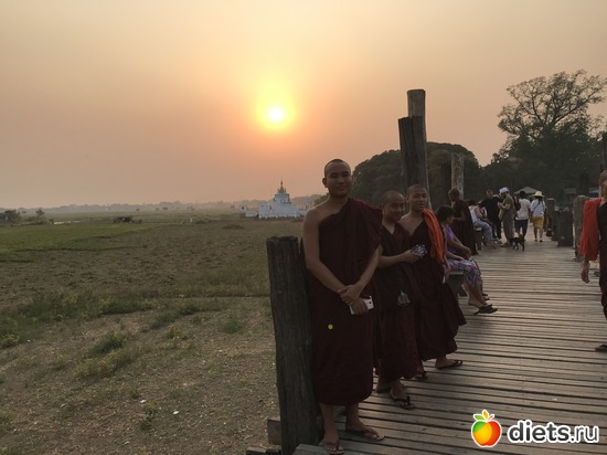 501 ����: ������ 2017. �����