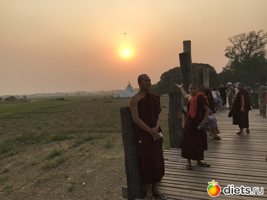 502 ����: ������ 2017. �����