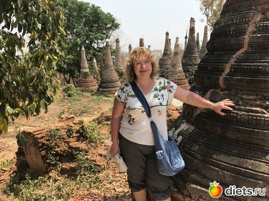 731 ����: ������ 2017. �����