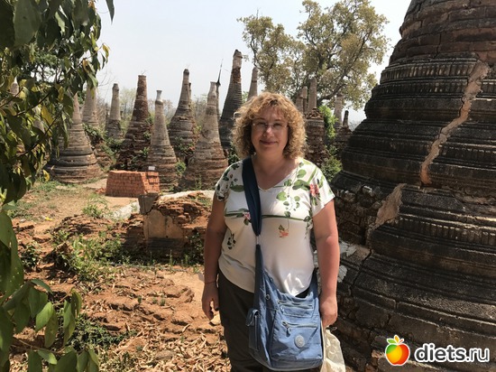 732 ����: ������ 2017. �����