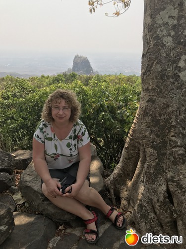 293 ����: ������ 2017. �����