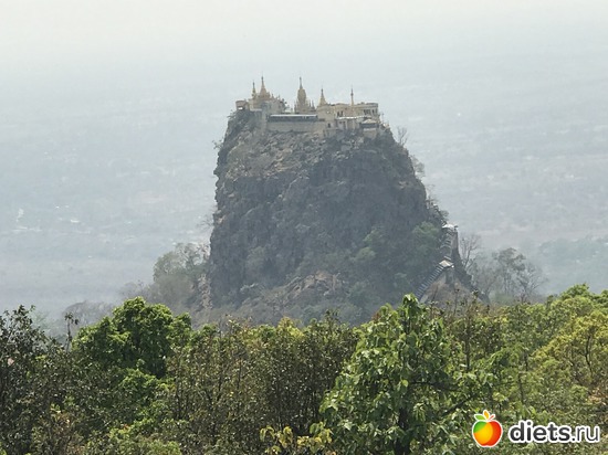 294 ����: ������ 2017. �����