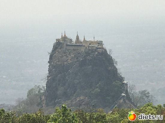 295 ����: ������ 2017. �����