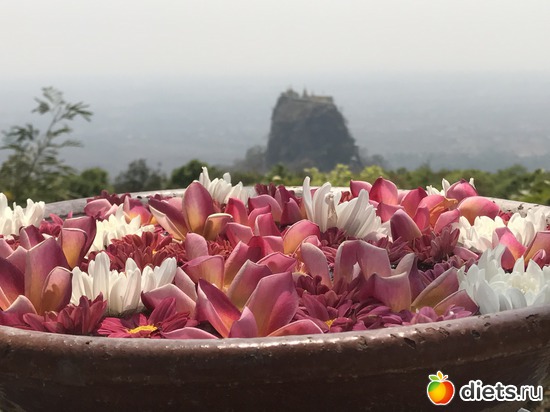 296 ����: ������ 2017. �����