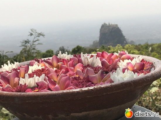 297 ����: ������ 2017. �����