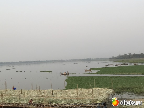 504 ����: ������ 2017. �����