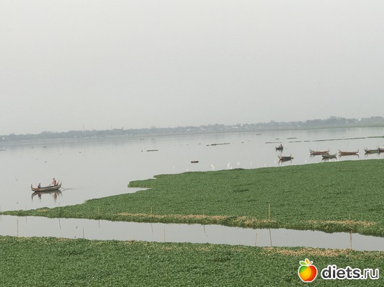 505 ����: ������ 2017. �����