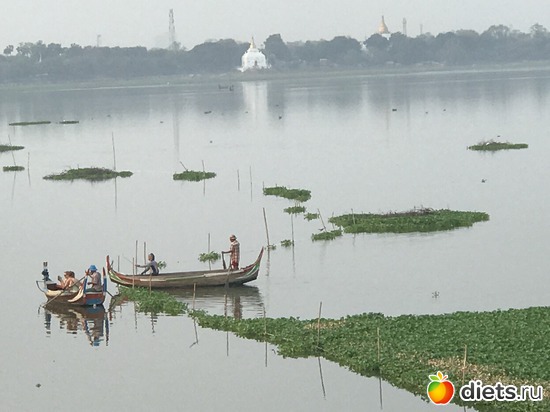 506 ����: ������ 2017. �����