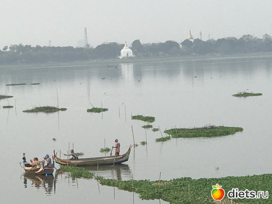 507 ����: ������ 2017. �����