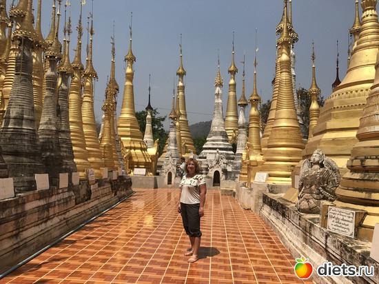 737 ����: ������ 2017. �����