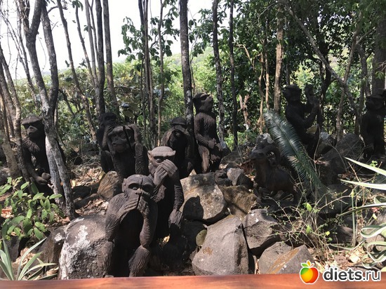 298 ����: ������ 2017. �����