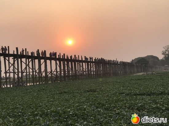 510 ����: ������ 2017. �����