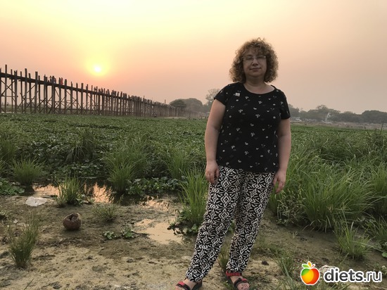 511 ����: ������ 2017. �����