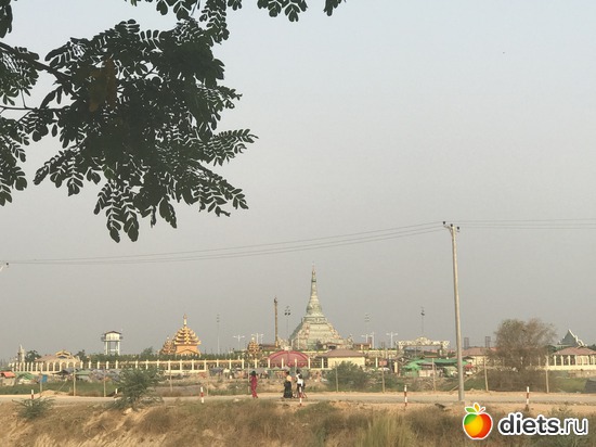 515 ����: ������ 2017. �����