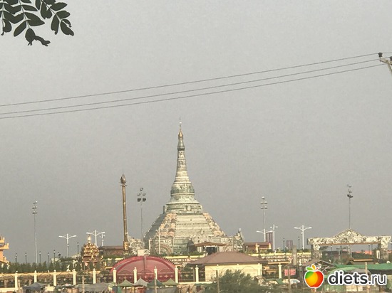 516 ����: ������ 2017. �����