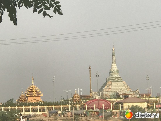 517 ����: ������ 2017. �����