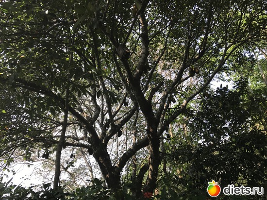 301 ����: ������ 2017. �����