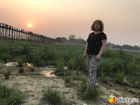 588 ����: ������ 2017. �����