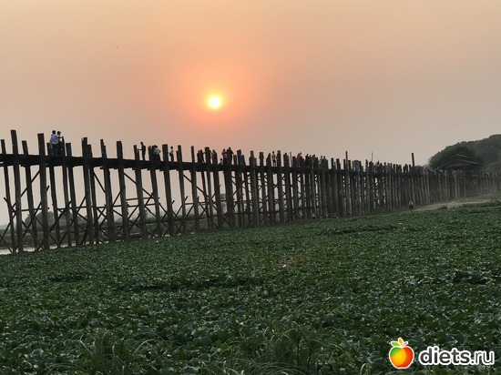 589 ����: ������ 2017. �����