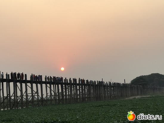 590 ����: ������ 2017. �����