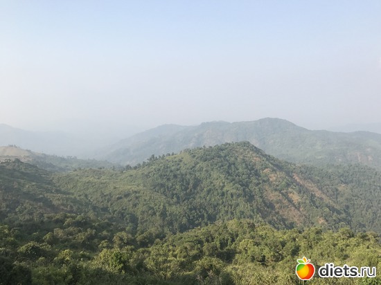 764 ����: ������ 2017. �����