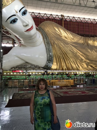 12 ����: ������ 2017. �����