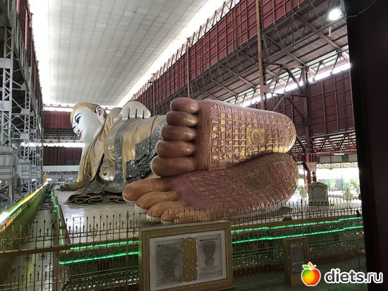 16 ����: ������ 2017. �����