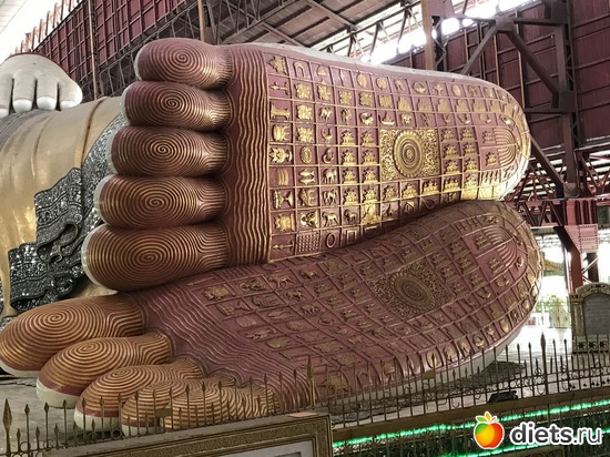 17 ����: ������ 2017. �����