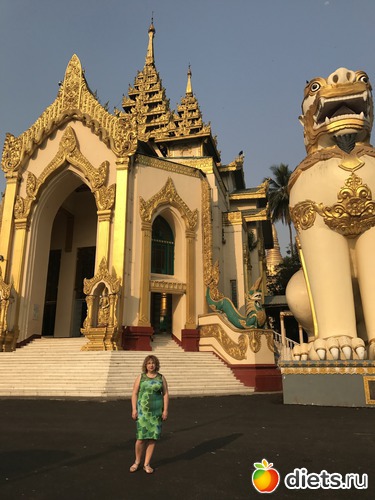 19 ����: ������ 2017. �����