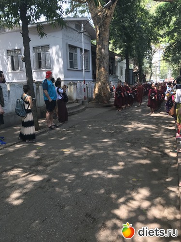 330 ����: ������ 2017. �����