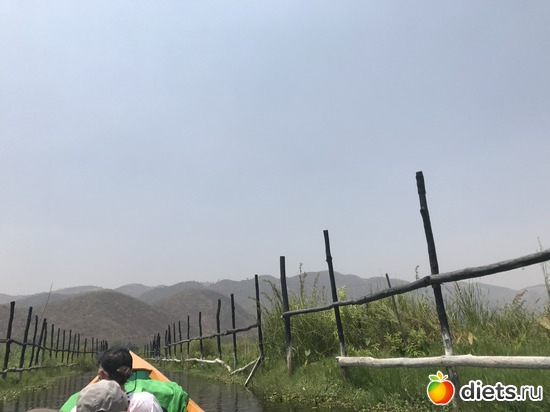 604 ����: ������ 2017. �����