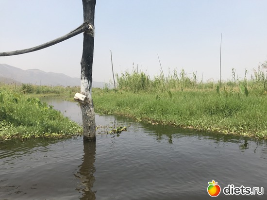 605 ����: ������ 2017. �����