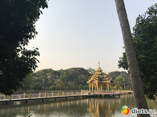 22 ����: ������ 2017. �����