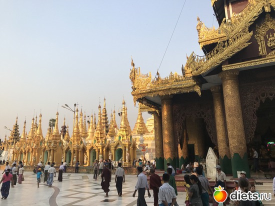 23 ����: ������ 2017. �����