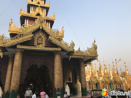 24 ����: ������ 2017. �����