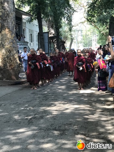 331 ����: ������ 2017. �����