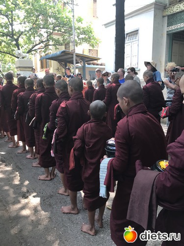 334 ����: ������ 2017. �����