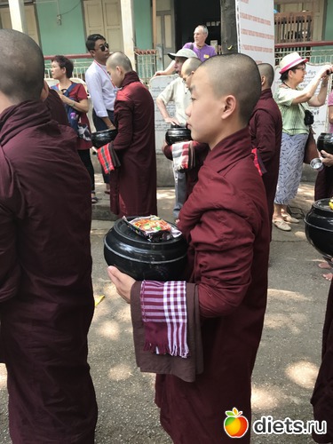 335 ����: ������ 2017. �����