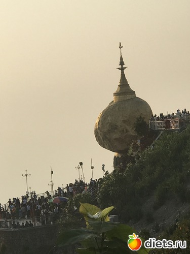 771 ����: ������ 2017. �����