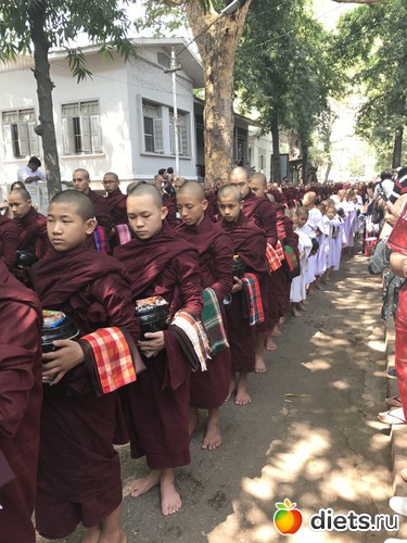 336 ����: ������ 2017. �����