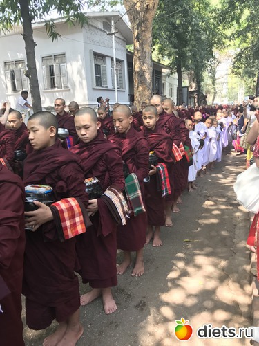 337 ����: ������ 2017. �����