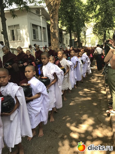 338 ����: ������ 2017. �����