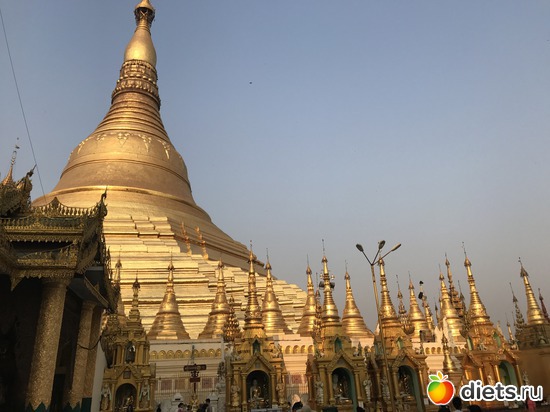 25 ����: ������ 2017. �����